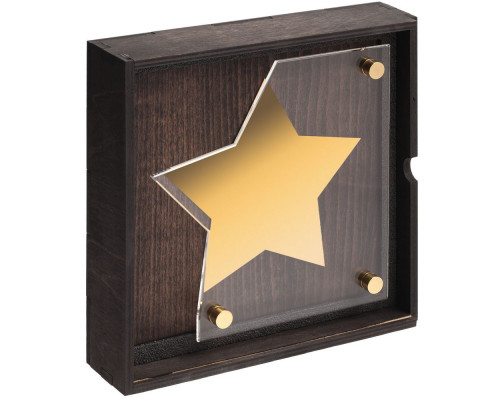 Награда Asteri Dark Gold