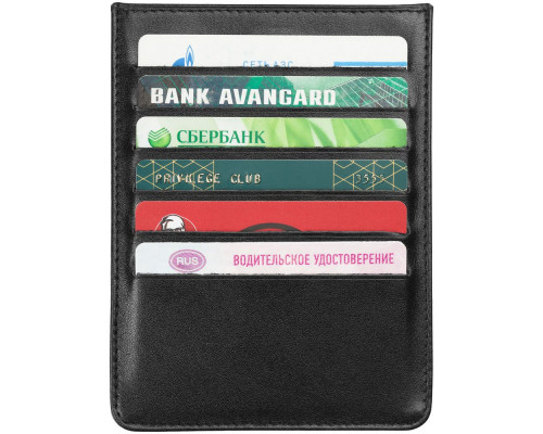 Органайзер Destinator на солнцезащитный козырек, черный