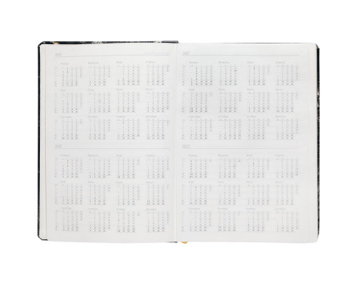 Ежедневник «Золотая Жила»