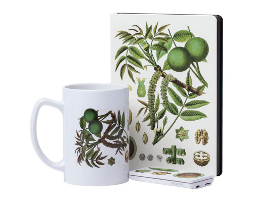 Кружка «Грецкий орех»